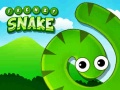 Тоглоом Frenzy Snake