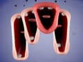 Тоглоом Crazy Lips