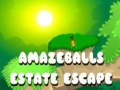 Тоглоом Amazeballs Estate Escape