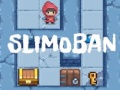 Тоглоом Slimoban
