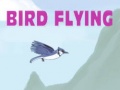 Тоглоом Bird Flying