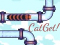 Тоглоом CatGet!