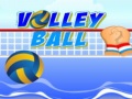 Тоглоом Volley ball