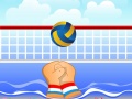 Тоглоом Volley Ball
