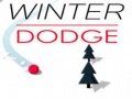 Тоглоом Winter Dodge
