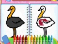 Тоглоом Coloring Birds Game