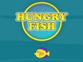 Тоглоом Hungry Fish