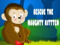 Тоглоом Rescue The Naughty Kitten