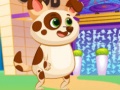 Тоглоом Lovely Virtual Dog
