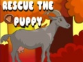 Тоглоом Rescue The Puppy