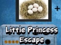 Тоглоом Little Princess Escape