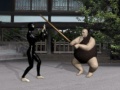 Тоглоом Buyoda Sensei