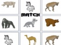 Тоглоом Match