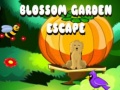 Тоглоом Blossom Garden Escape