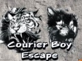 Тоглоом Courier Boy Escape