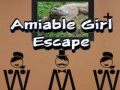 Тоглоом Amiable Boy Escape