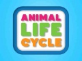 Тоглоом Animal Life Cycle