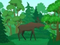 Тоглоом Wild Animals Coloring