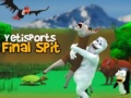Тоглоом Yetisports Final Spit