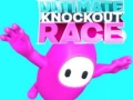Тоглоом Ultimate Knockout Race