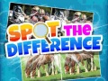 Тоглоом Spot The Difference