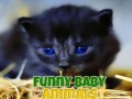 Тоглоом Funny Baby Animals