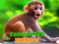 Тоглоом Funny Baby Monkey