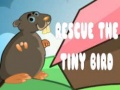 Тоглоом Rescue The Tiny Bird