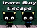 Тоглоом Irate Boy Escape