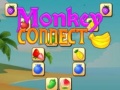 Тоглоом Monkey Connect