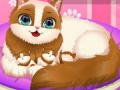 Тоглоом Cute Kitty Pregnant