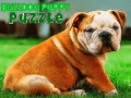 Тоглоом Bulldog Puppy Puzzle