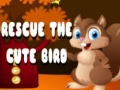 Тоглоом Rescue The Cute Bird