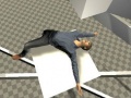 Тоглоом Ragdoll Test