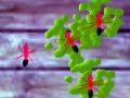 Тоглоом Smash Ants