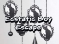 Тоглоом Ecstatic Boy Escape