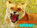Тоглоом Funny Smiling Animals