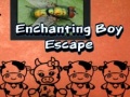 Тоглоом Enchanting Boy Escape