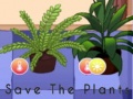 Тоглоом Save the Plants
