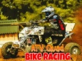 Тоглоом ATV Quad Bike Racing