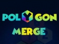 Тоглоом Polygon Merge