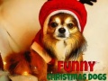 Тоглоом Funny Christmas Dogs