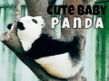 Тоглоом Cute Baby Panda