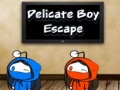 Тоглоом Delicate Boy Escape