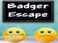Тоглоом Badger Escape