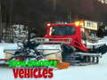 Тоглоом Snow Groomer Vehicles