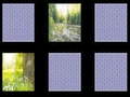 Тоглоом Nature Memory