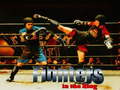 Тоглоом Fighters in the Ring