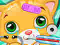 Тоглоом Doctor Pets