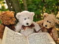 Тоглоом Cuddly Three Teddy Jigsaw